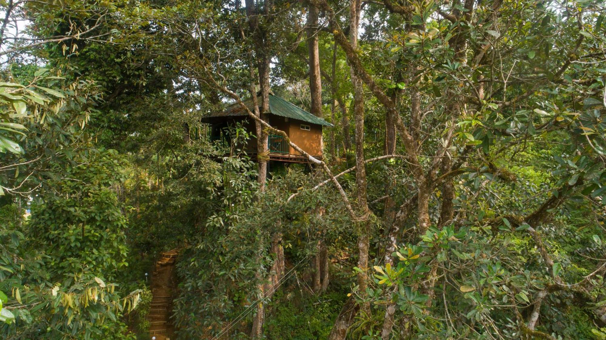 Ela Ecoland Nature Retreat Munnar Kültér fotó