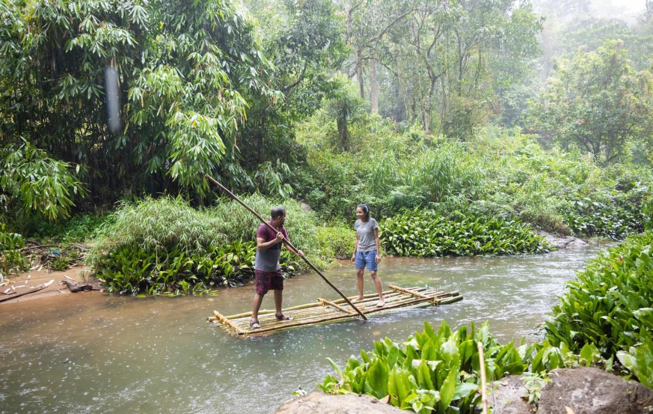 Ela Ecoland Nature Retreat Munnar Kültér fotó