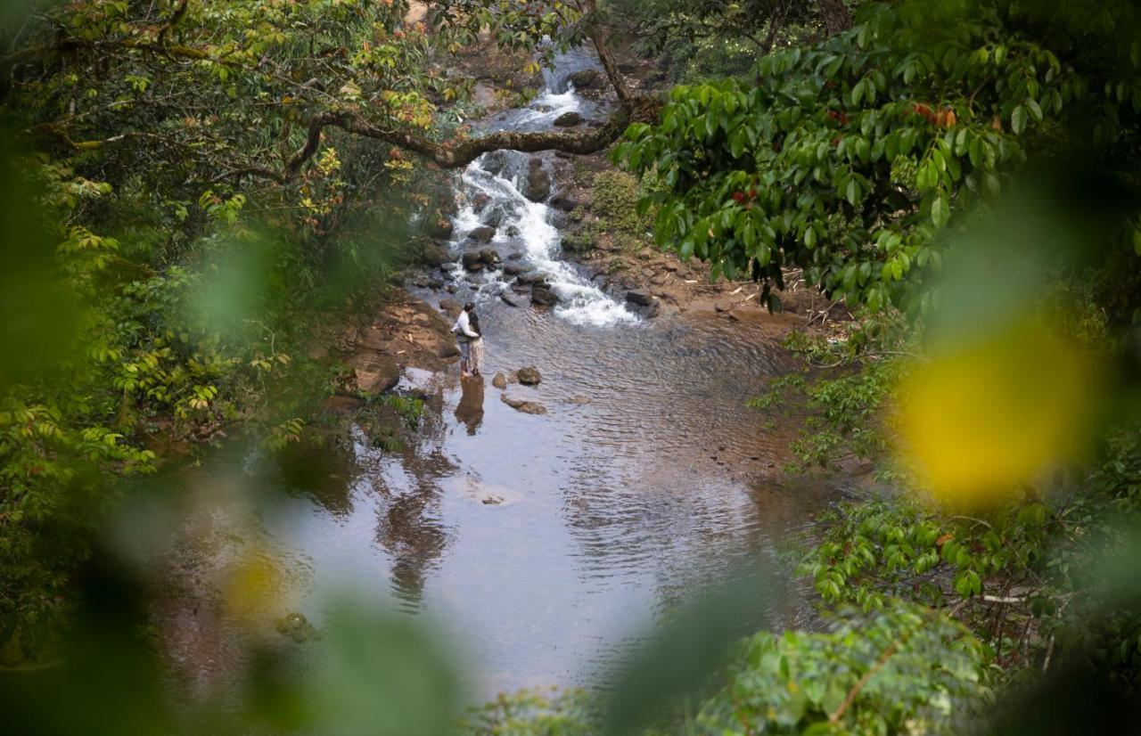 Ela Ecoland Nature Retreat Munnar Kültér fotó