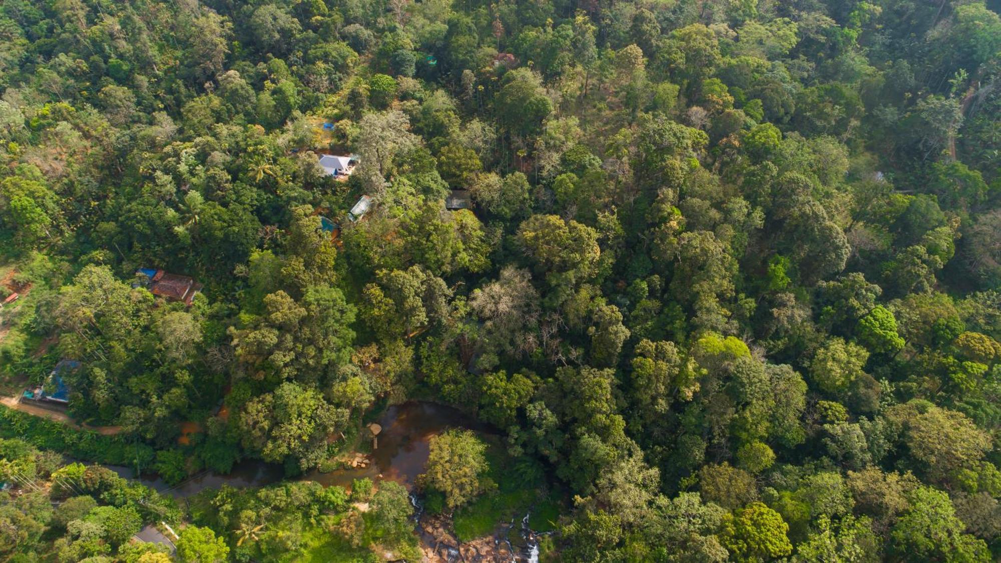 Ela Ecoland Nature Retreat Munnar Kültér fotó
