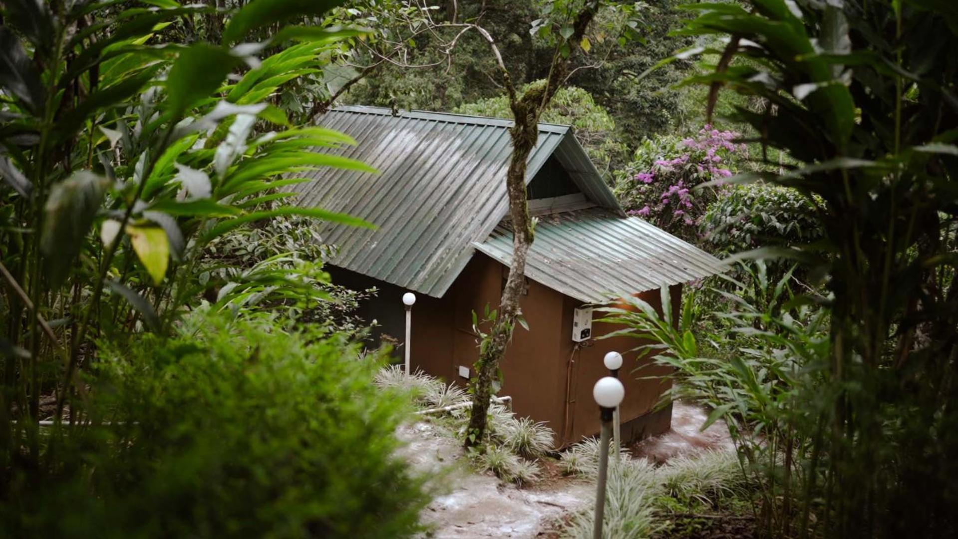 Ela Ecoland Nature Retreat Munnar Kültér fotó