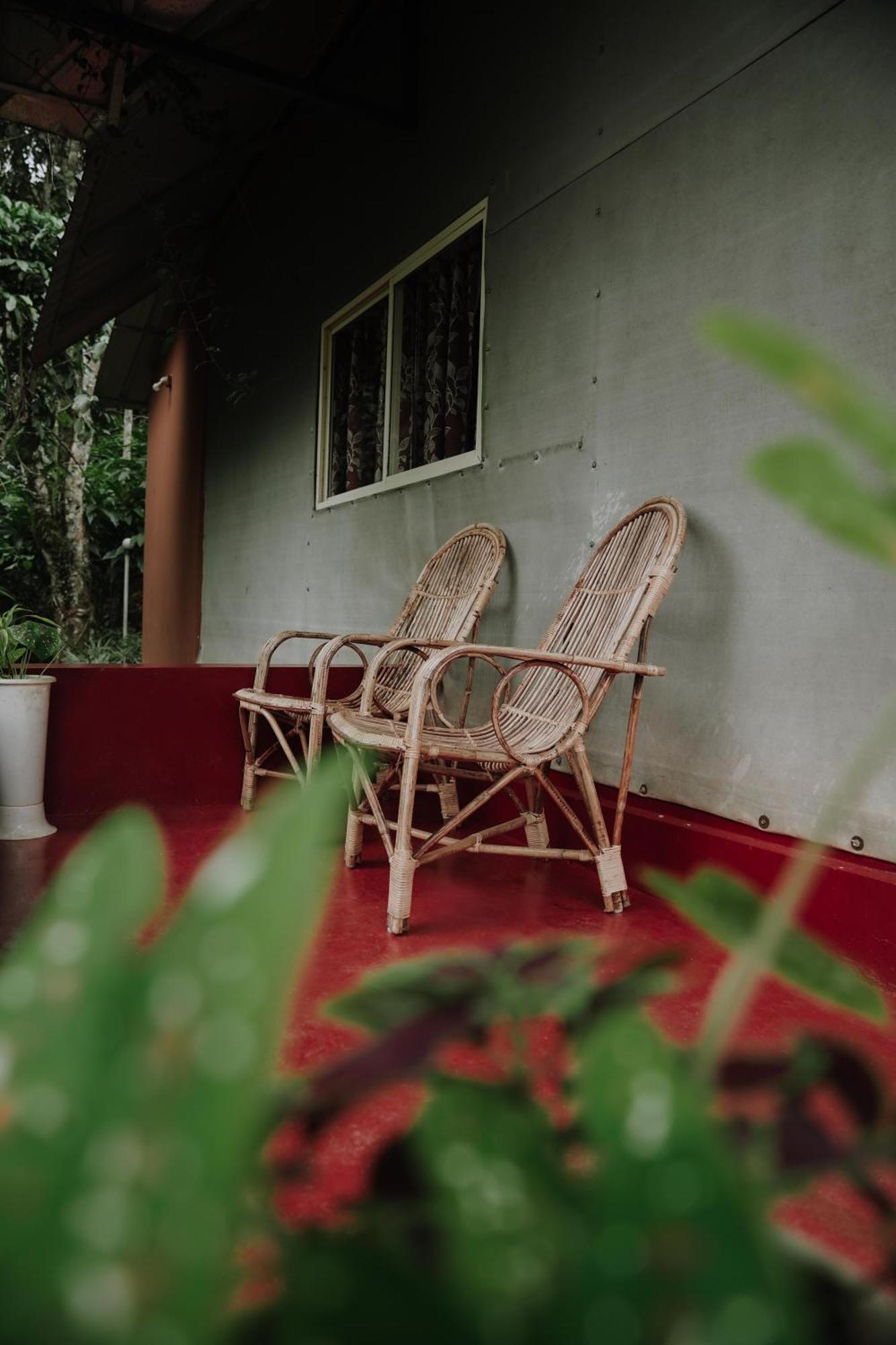 Ela Ecoland Nature Retreat Munnar Kültér fotó