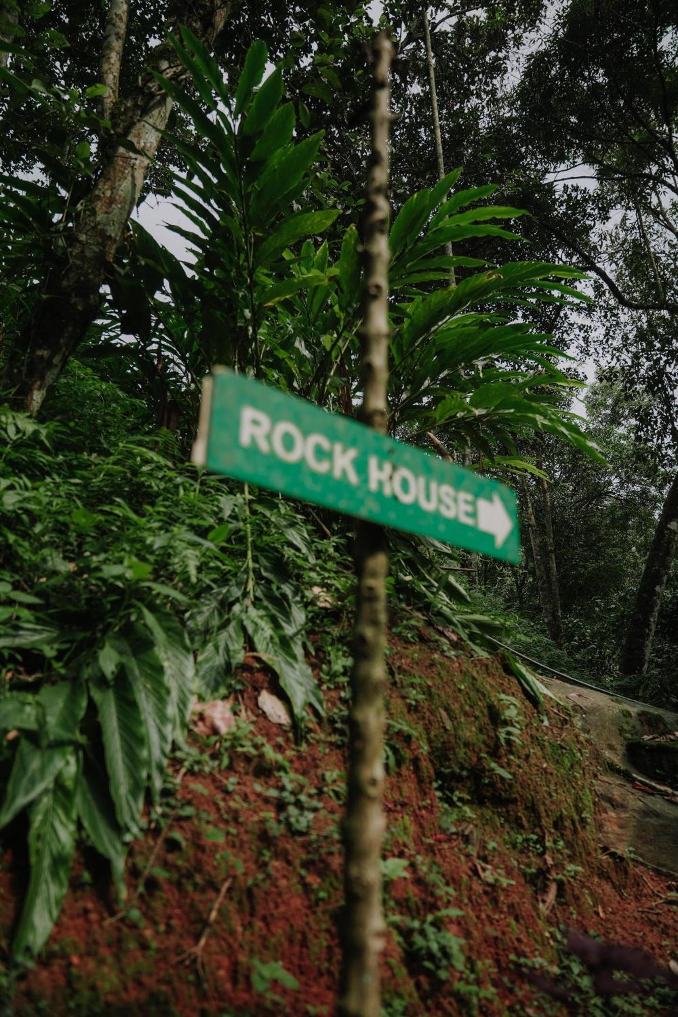 Ela Ecoland Nature Retreat Munnar Kültér fotó
