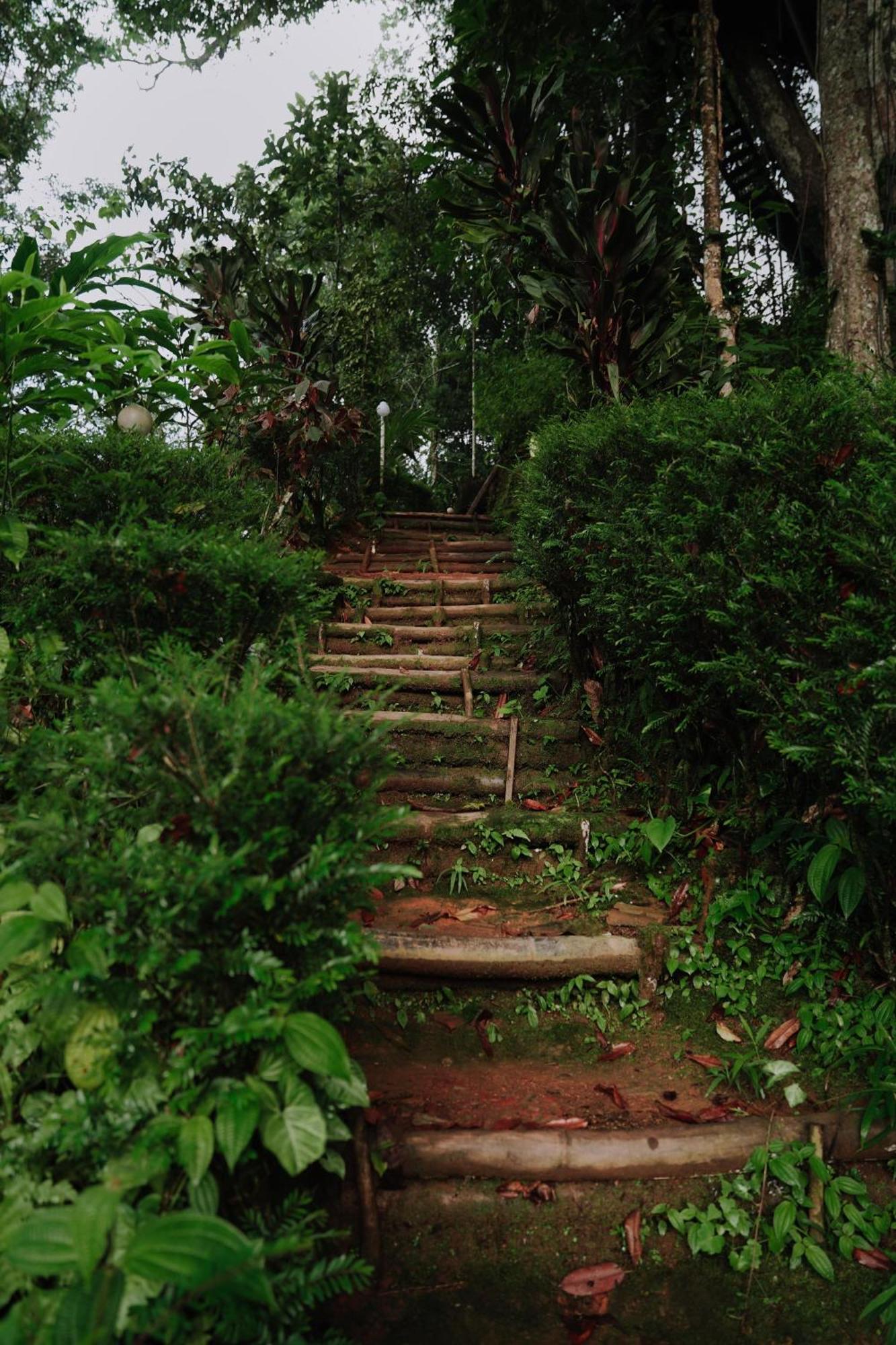 Ela Ecoland Nature Retreat Munnar Kültér fotó