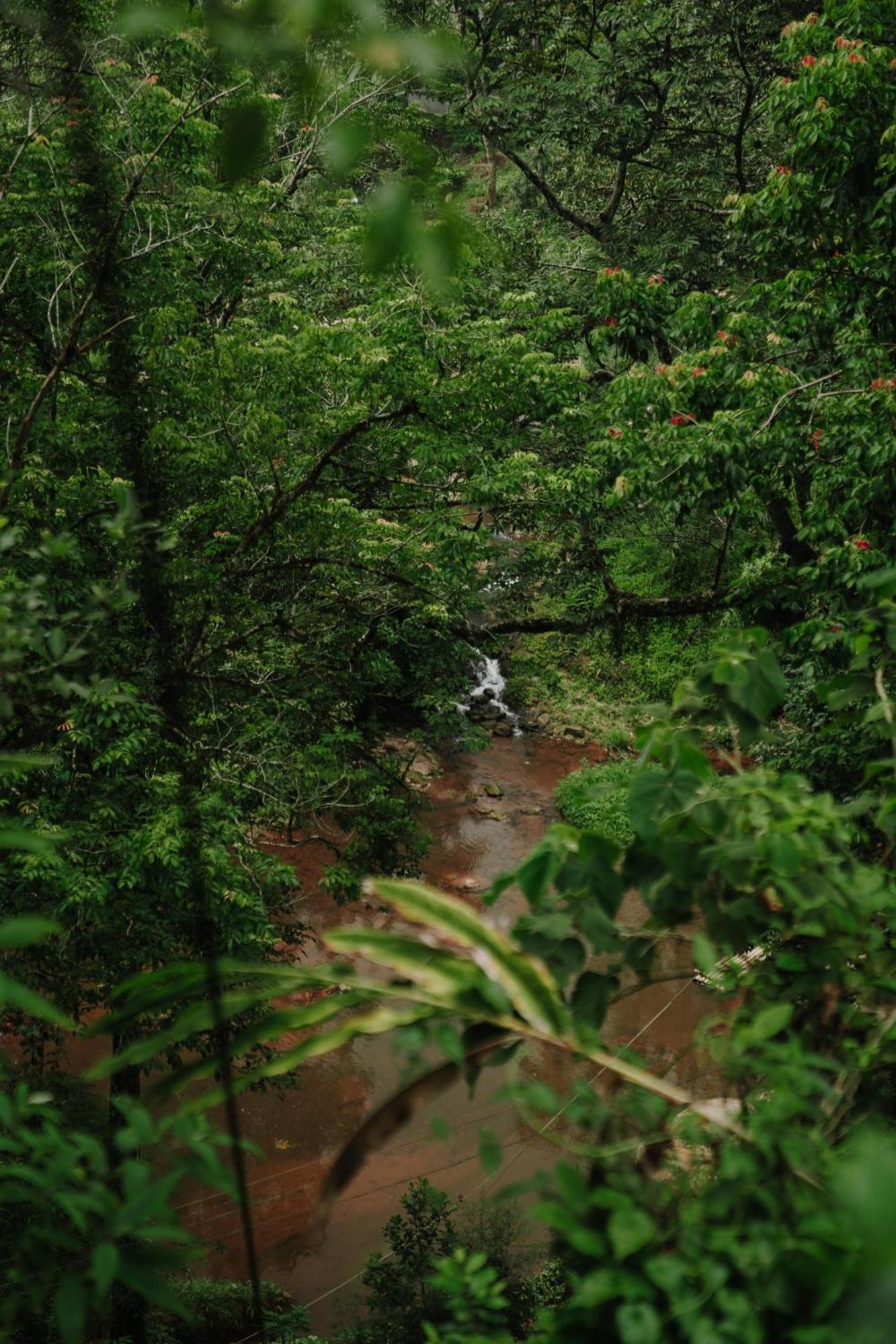 Ela Ecoland Nature Retreat Munnar Kültér fotó
