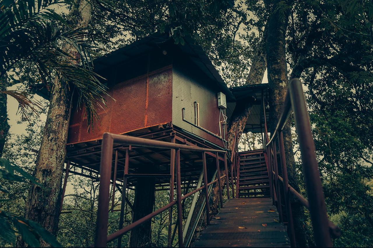 Ela Ecoland Nature Retreat Munnar Kültér fotó