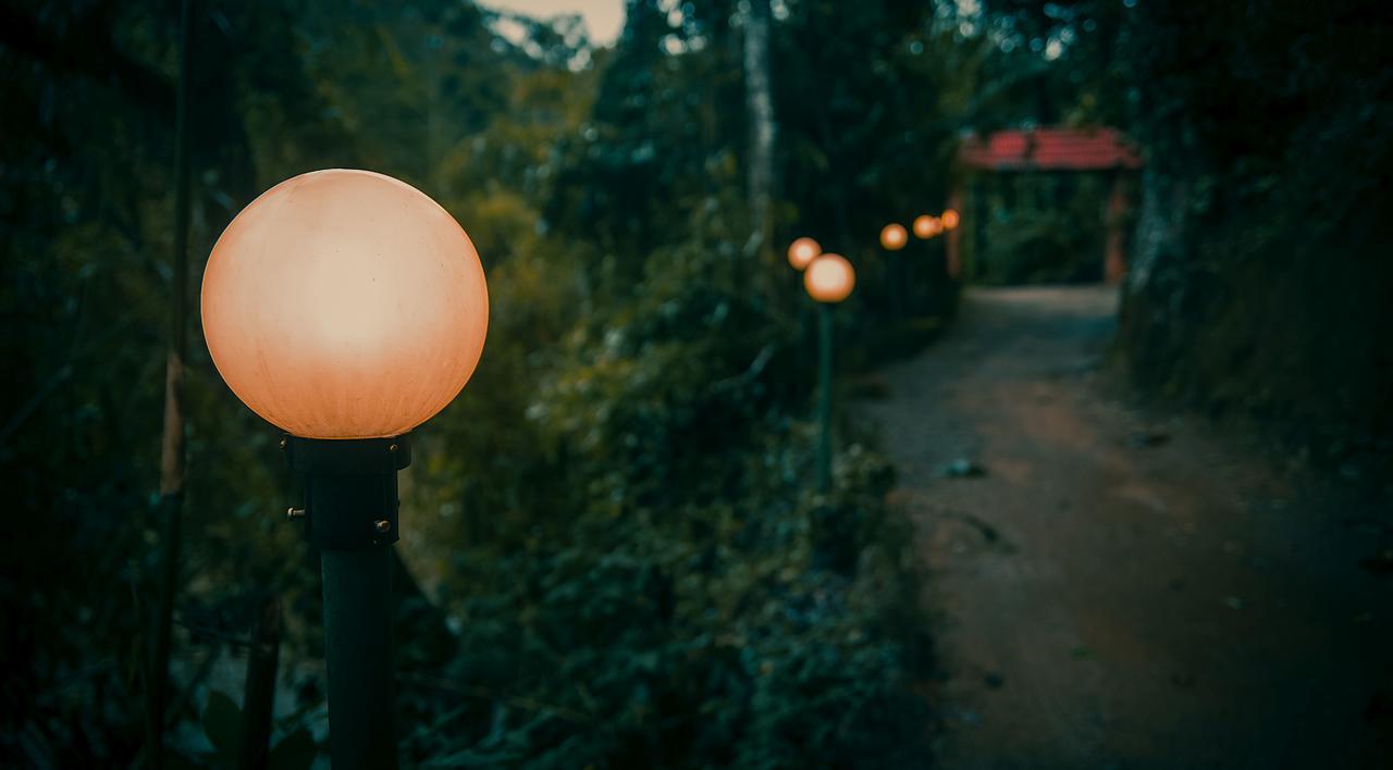 Ela Ecoland Nature Retreat Munnar Kültér fotó