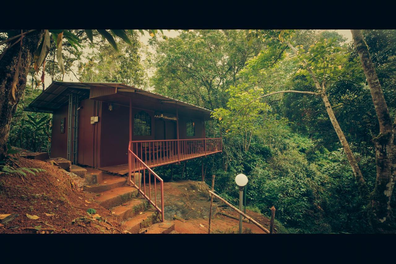 Ela Ecoland Nature Retreat Munnar Kültér fotó