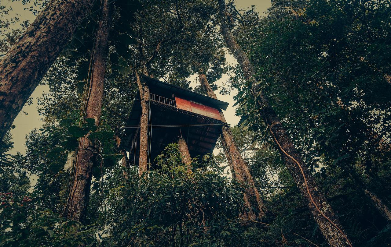 Ela Ecoland Nature Retreat Munnar Kültér fotó