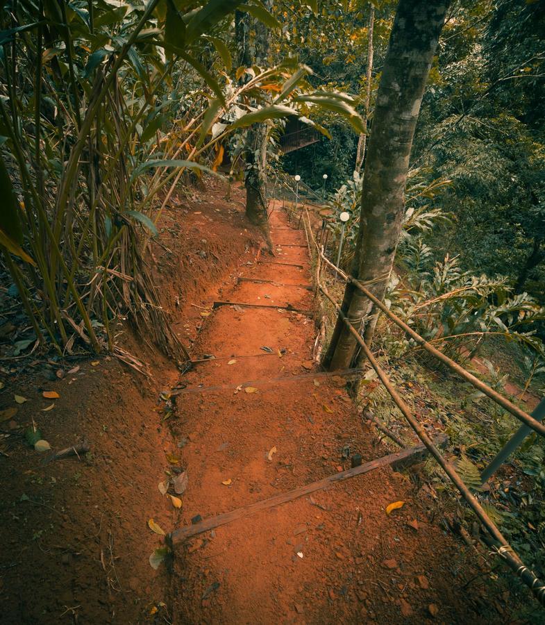 Ela Ecoland Nature Retreat Munnar Kültér fotó